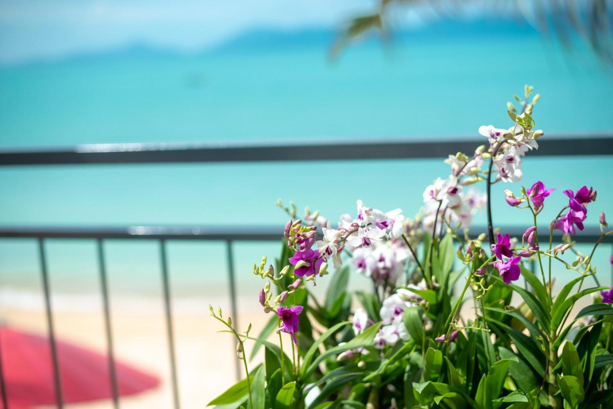 The Florist Resort Mae Nam Beach Exterior foto